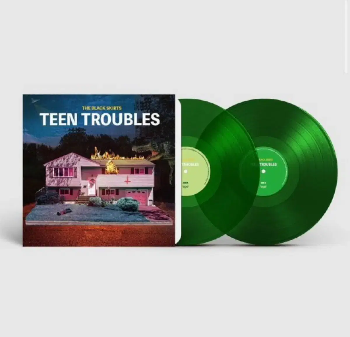 검정치마 Teen Troubles LP